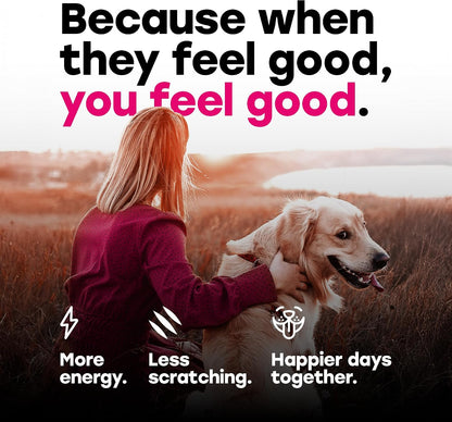 24-in-1 Dog Multivitamin Chews – Dog Vitamins & Supplements with Glucosamine, Chondroitin, Probiotics, Salmon Oil, Biotin – Daily Mobility, Digestion, Skin & Coat Support, Beef Flavour | 24-in-1 daily dog multivitamin, beef flavour, 140 soft chews
