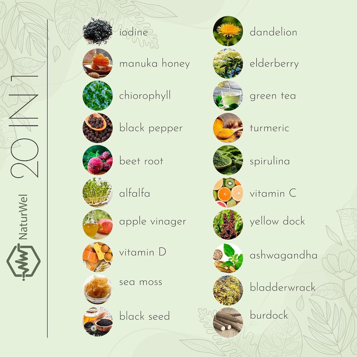 Black Seed Oil 3000mg Sea Moss 3000mg Ashwagandha 1000mg Turmeric 1000mg Burdock 1000mg Bladderwrack 1000mg with Elderberry, Manuka, Chlorophyll, Dandelion & Yellow Dock - 90 Vegan Capsules - görsel 3