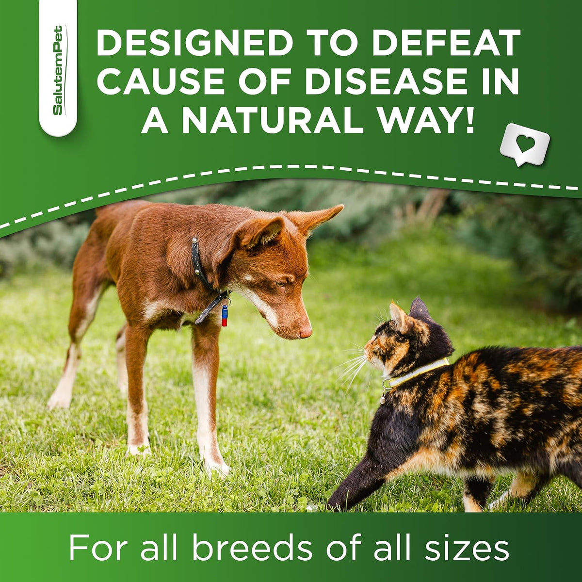 Dog Antibiotics Forte Health – Herbal Supplement for Dogs and Cats - görsel 7