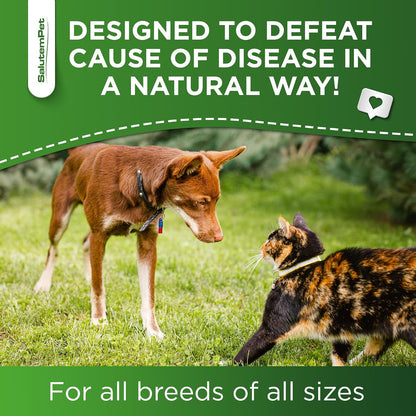 Dog Antibiotics Forte Health – Herbal Supplement for Dogs and Cats