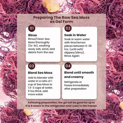 Herb To Body Purple Sea Moss – 113g (4oz), Wildcrafted from Saint Lucia, Raw & Dried