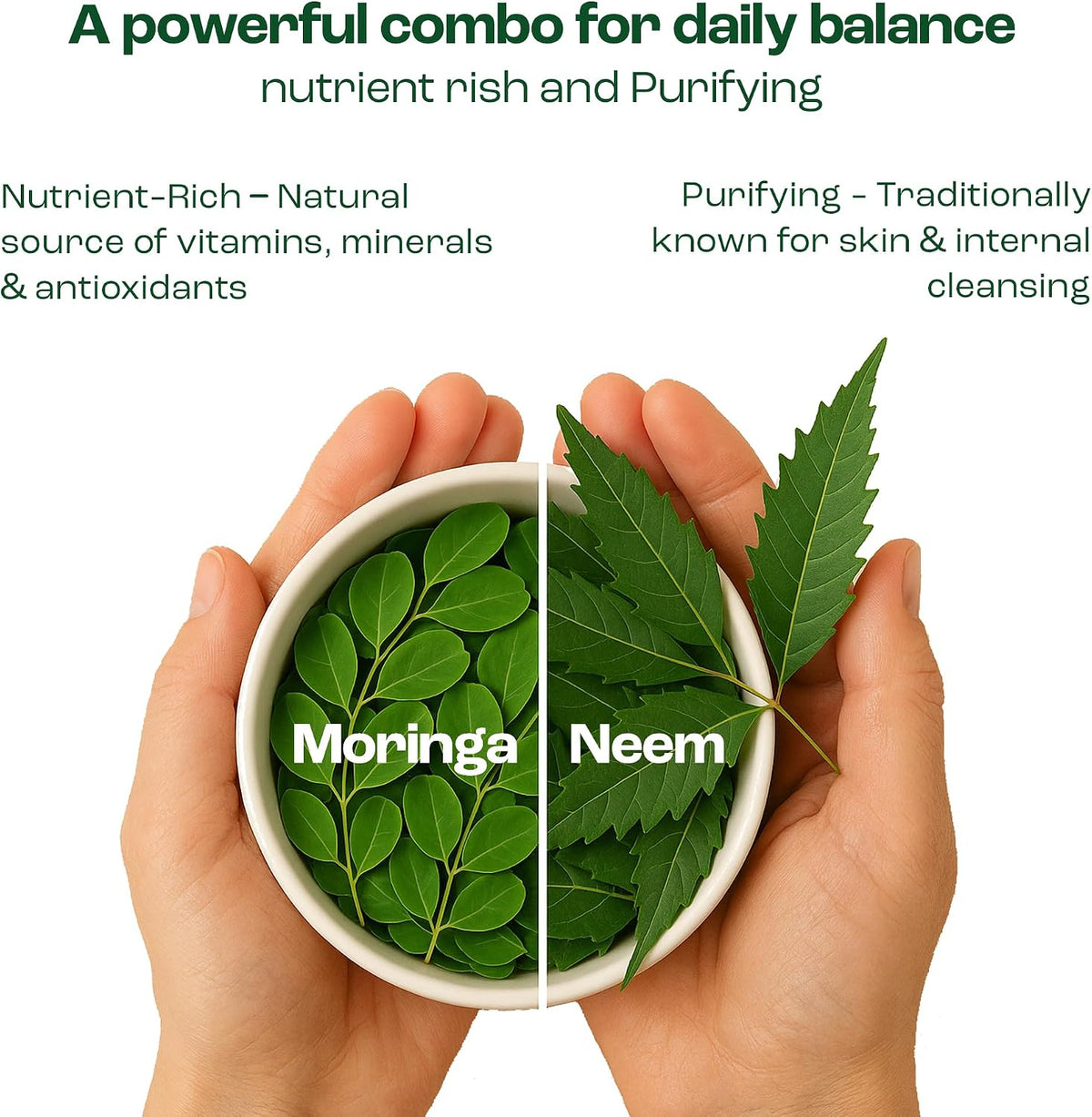 Moringa Oleifera + Leaf Nutritional Supplement | Immune & Energy Support | 90 Capsules - görsel 3