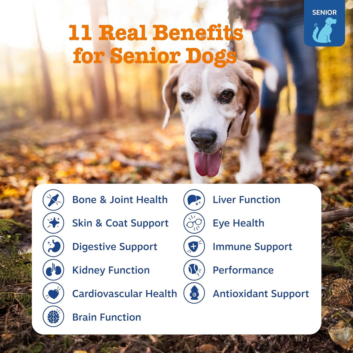 Zesty Paws Senior Dog Multivitamin Chews, Chicken Flavour, 90 Chews - görsel 2