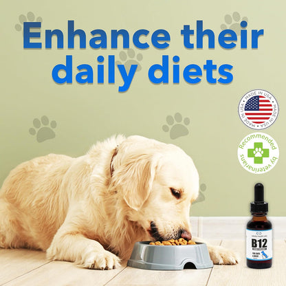 Liquid Vitamin B12 for Dogs and Cats – Vet-Formulated Methylcobalamin – Energy, Appetite & Mood Support