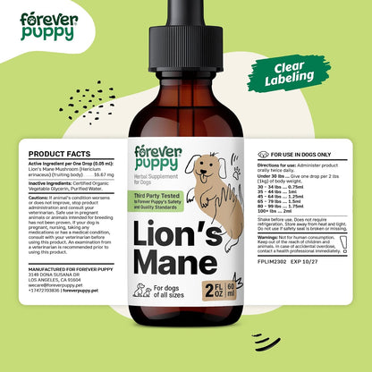 Forever Puppy Lion's Mane Mushroom Supplement for Dogs – Brain & Focus Support, 60 ml