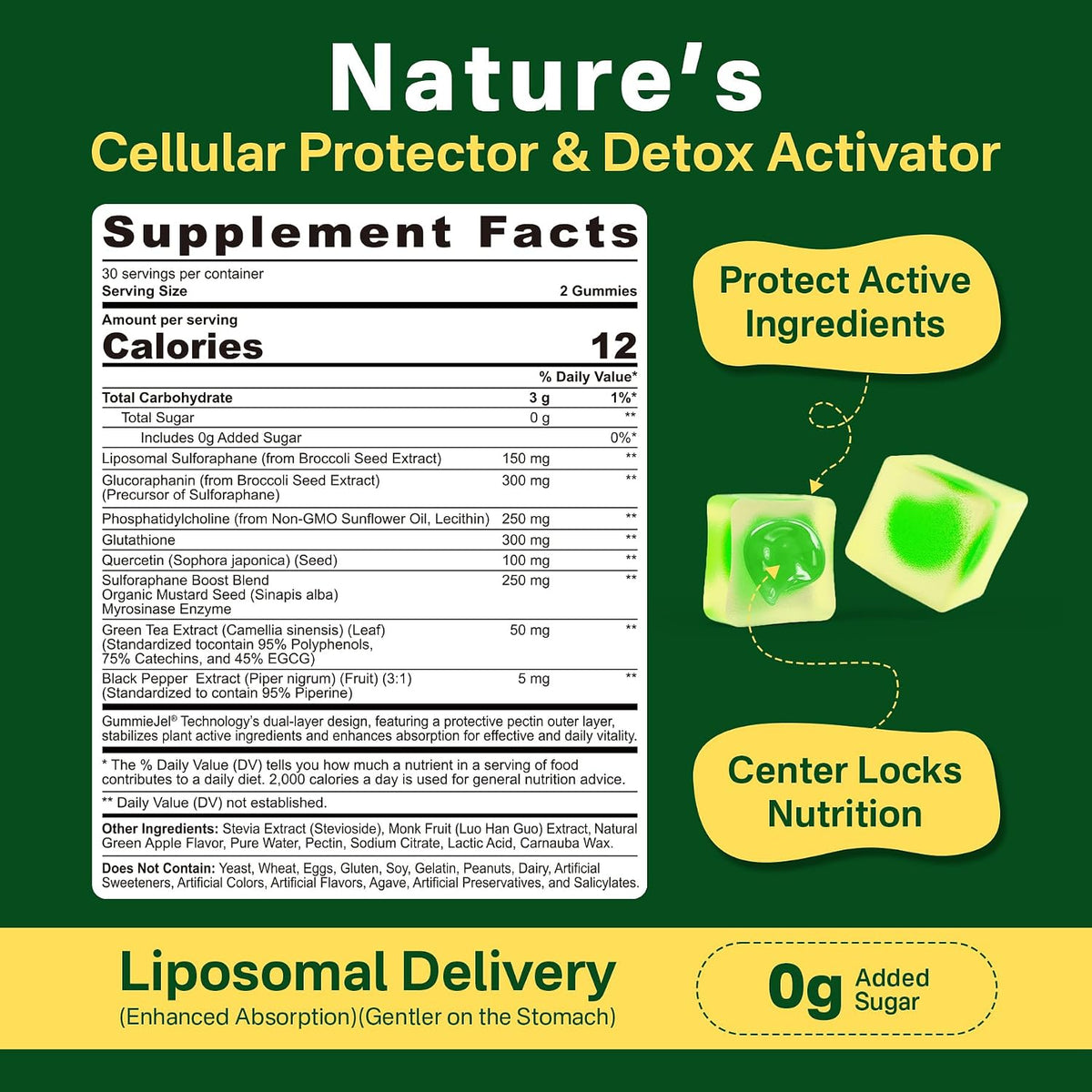 Liposomal Sulforaphane Supplement 150mg – Broccoli Seed Extract with Myrosinase, Quercetin, Glutathione – Chewable Gummies, 120 Gummies - görsel 2