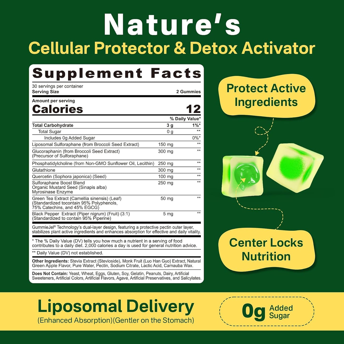 Liposomal Sulforaphane Gummies 150mg | Broccoli Seed Extract with Myrosinase, Quercetin & Glutathione | Antioxidant & Cellular Health | 60 Chewables - görsel 2
