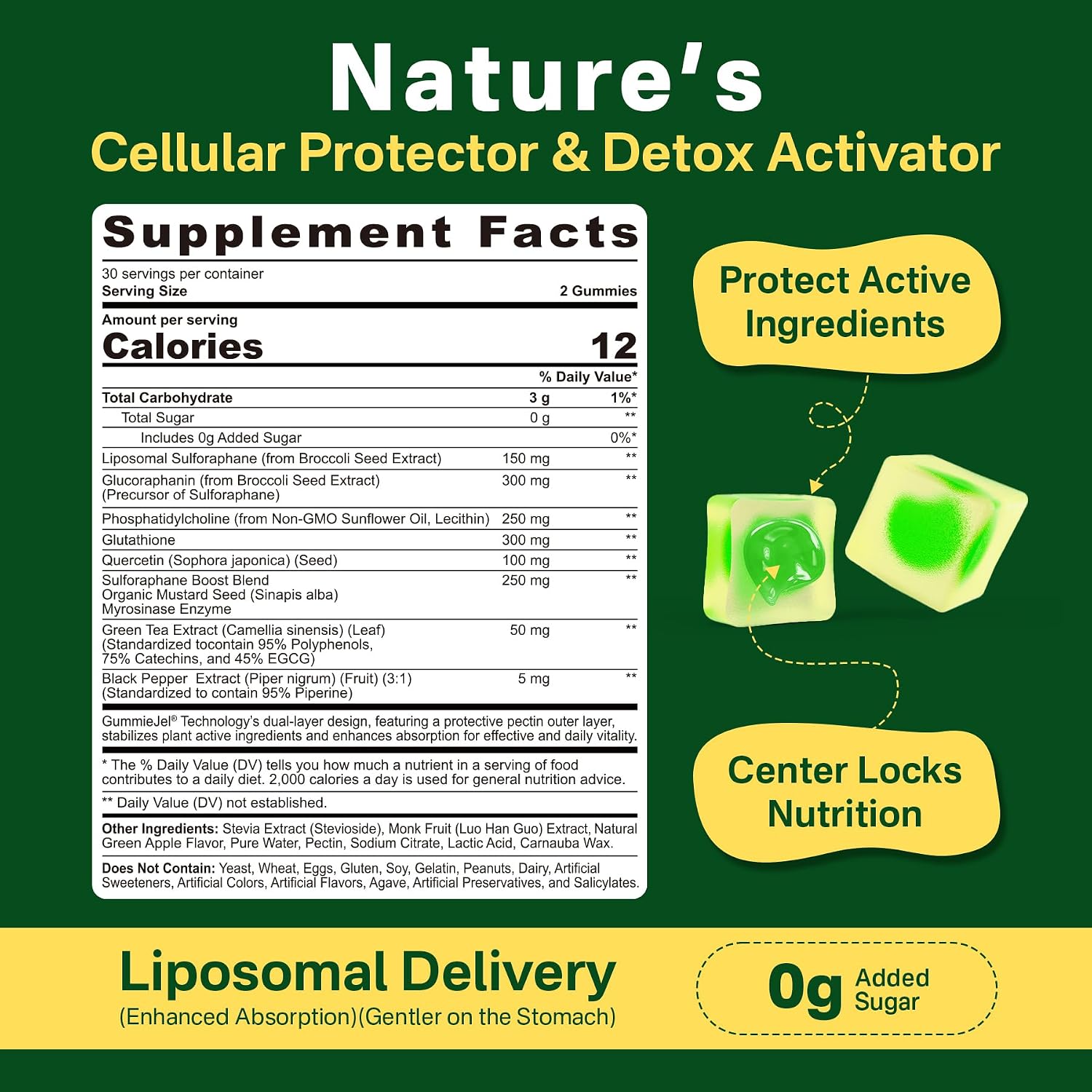Liposomal Sulforaphane Gummies 150mg | Broccoli Seed Extract with Myrosinase, Quercetin & Glutathione | Antioxidant & Cellular Health | 60 Chewables - görsel 2