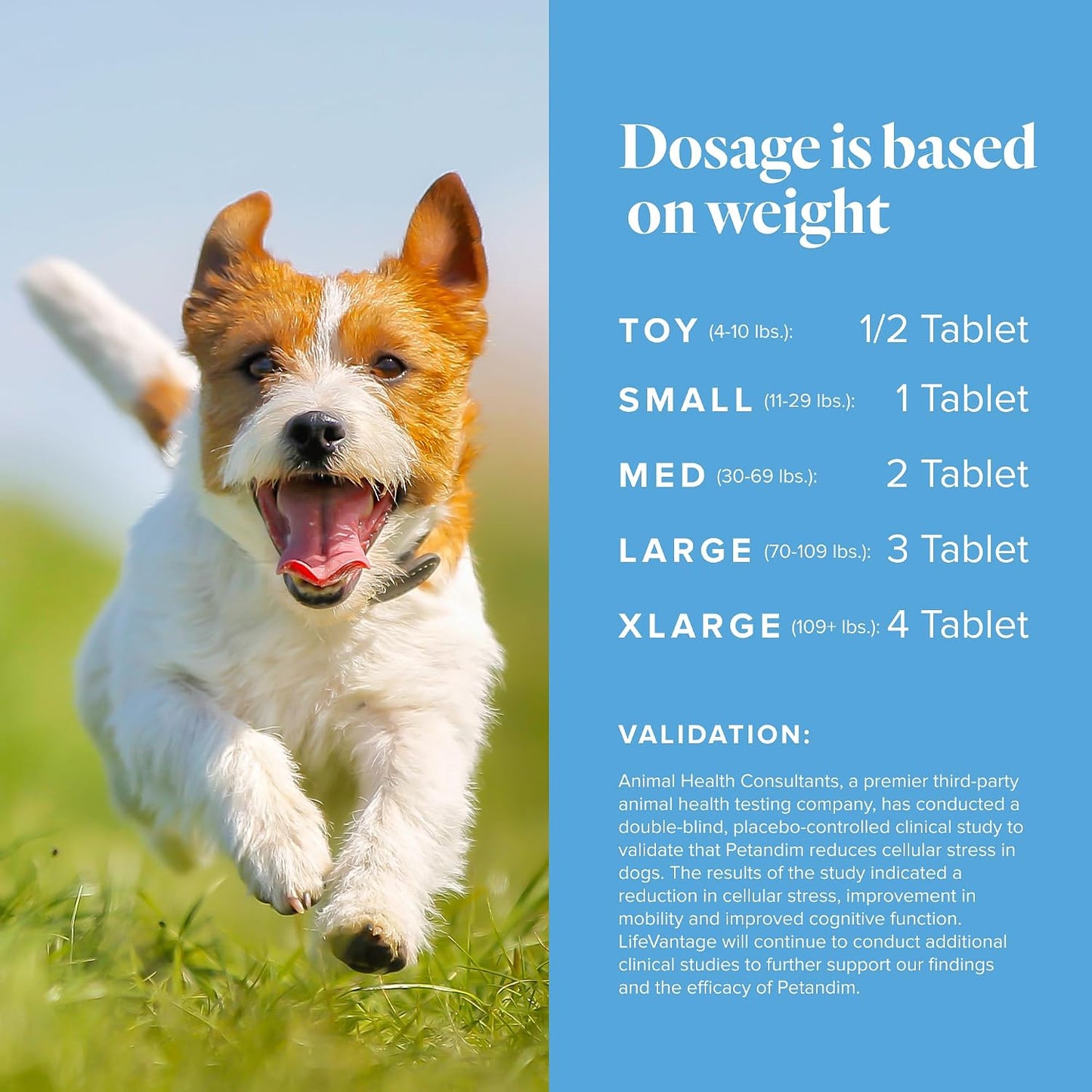 Petandim Dog Vitamins (30 Chewable Tablets) – Antioxidants, Joint Support, Skin and Coat Supplement, Omega-3 & Collagen, Chicken + Bacon Flavour - görsel 6