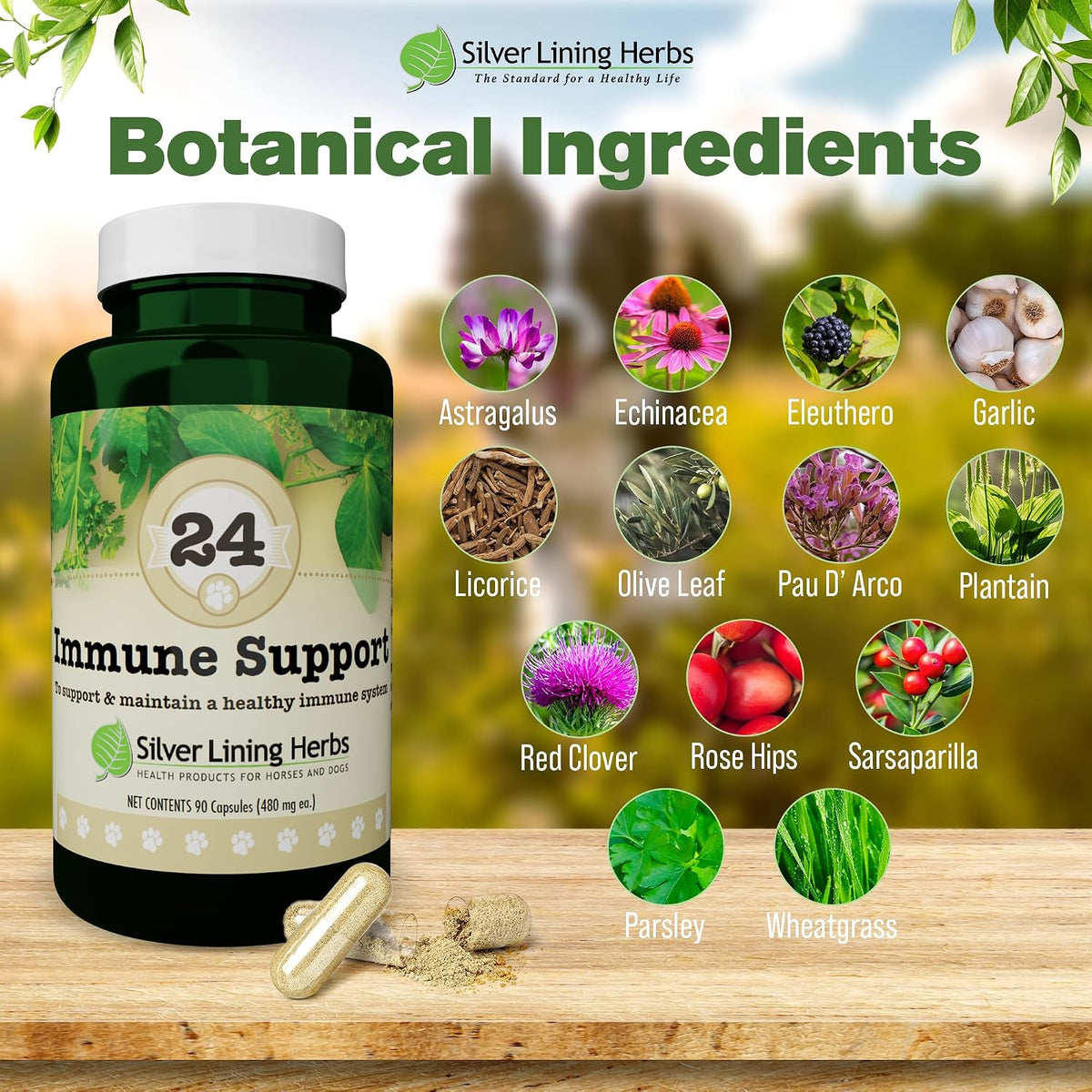 Silver Lining Herbs Dog Immune Support Supplement – Natural Herbal Dog Vitamins, 90 Capsules - görsel 3