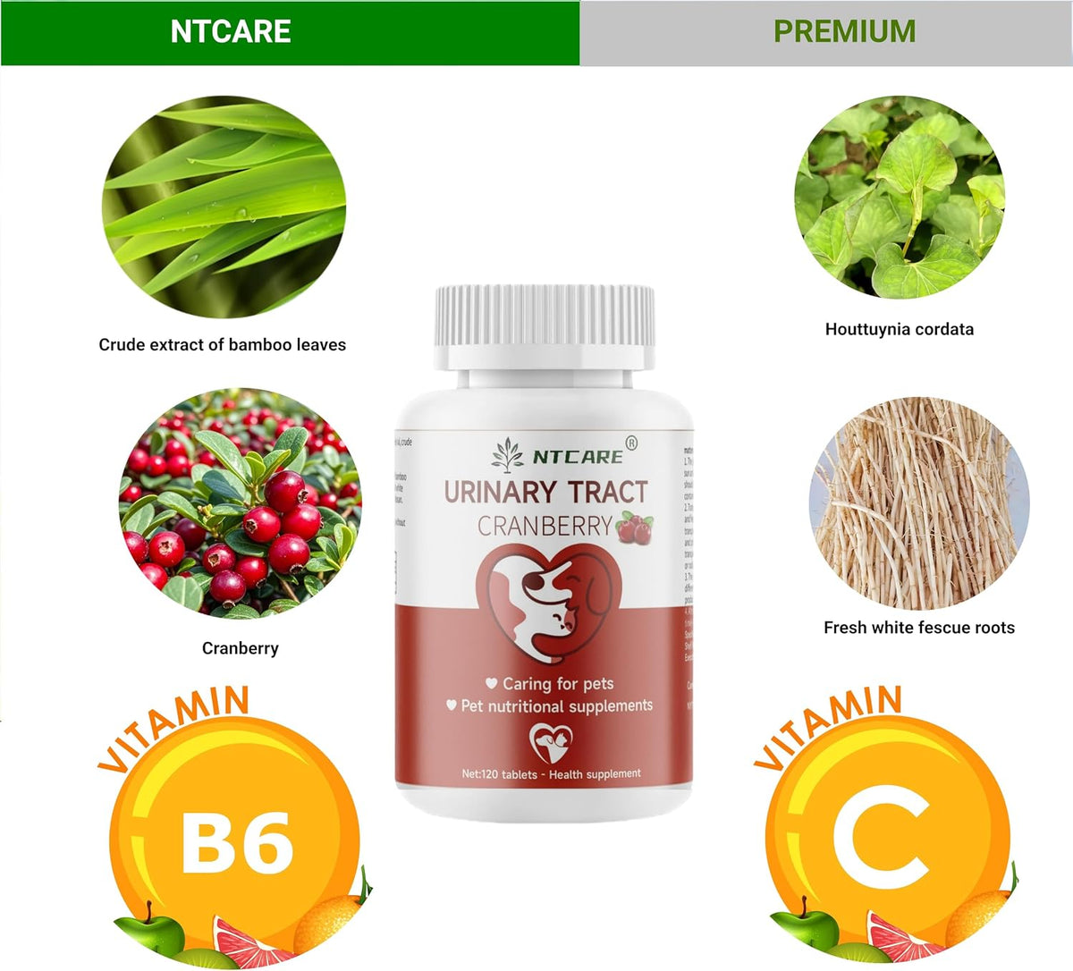 Cranberry for Dogs and Cats - Urinary Tract & Bladder Health Support - 120 Tablets - görsel 3