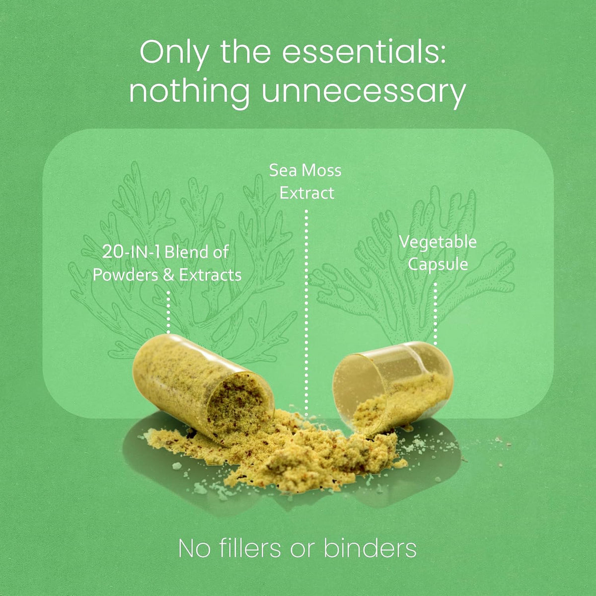 Sea Moss, Black Seed Oil, Bladderwrack, Turmeric, Ashwagandha, Burdock, Vitamin C, D3, Zinc - 90 Veggie Capsules - görsel 4