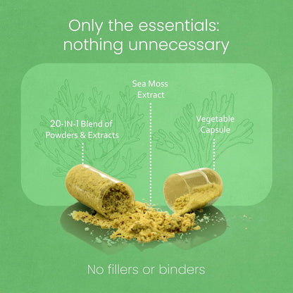 Sea Moss, Black Seed Oil, Bladderwrack, Turmeric, Ashwagandha, Burdock, Vitamin C, D3, Zinc - 90 Veggie Capsules