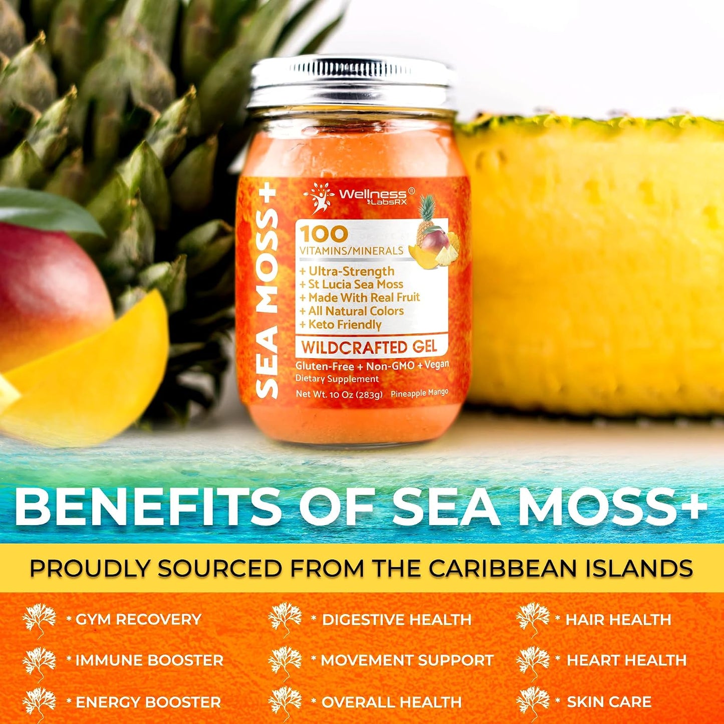 WELLNESS LABSRX Irish Sea Moss Gel - Pineapple Mango, 283 g - görsel 6