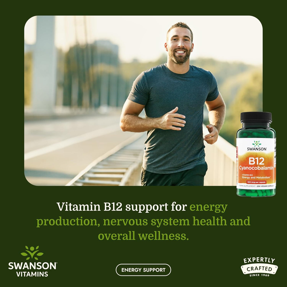 Swanson Vitamin B12 Cyanocobalamin 500 mcg – Energy and Nervous System Support Supplement for Adults – 250 Vegan Capsules - görsel 2