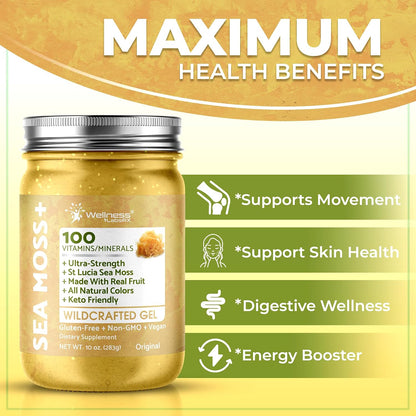 Wellness Labs RX Irish Sea Moss Gel Raw - Wildcrafted Superfood Seamoss Gel - Original Flavour, Vitamin and Mineral-Rich from Pristine Caribbean Waters, Wellness and Digestive Health Support - 10 oz.