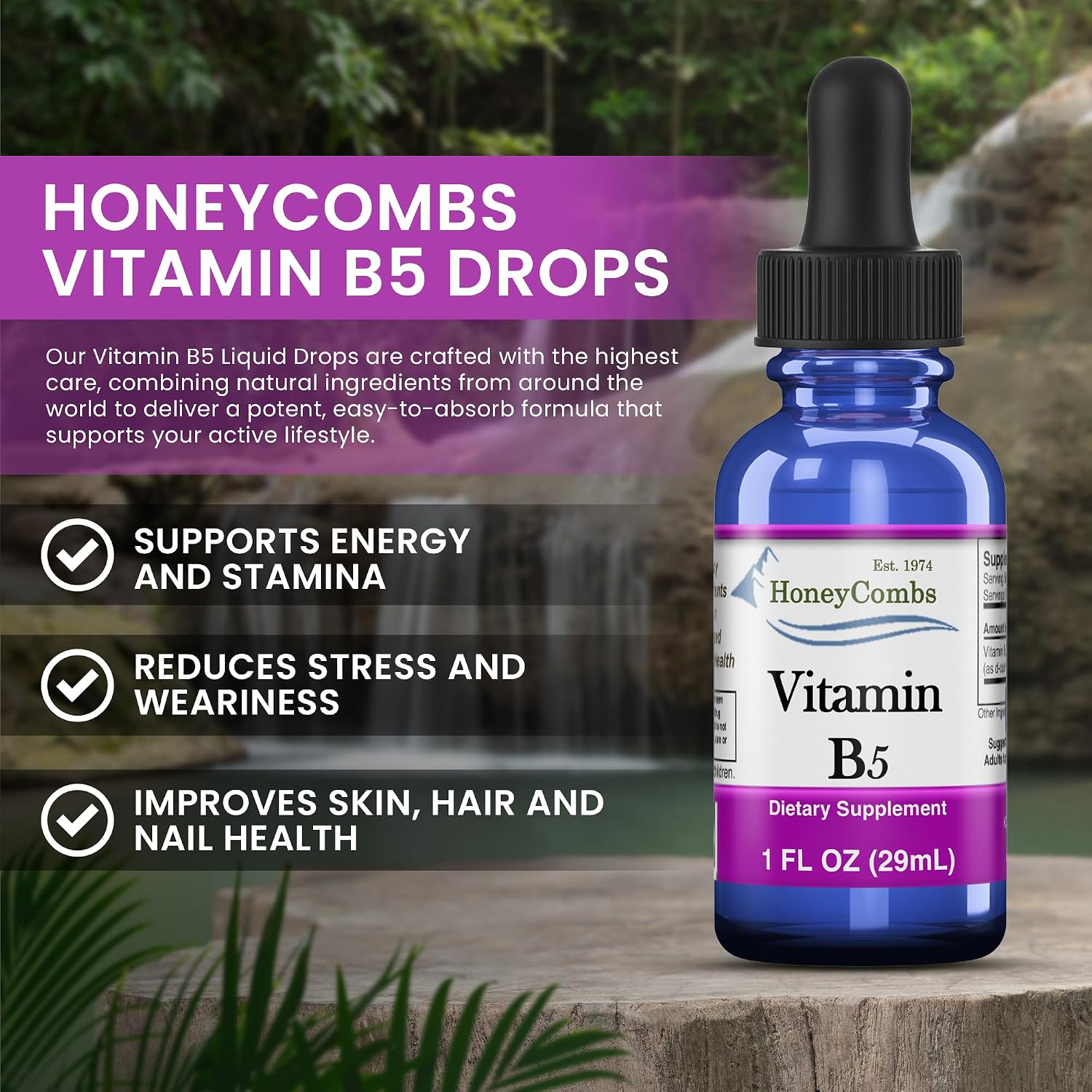 HoneyCombs Vitamin B5 Liquid Drops - Pantothenic Acid Supplement, 473 ml (16 fl oz) | 500% DV, Vegan, Fast Absorbing - görsel 2