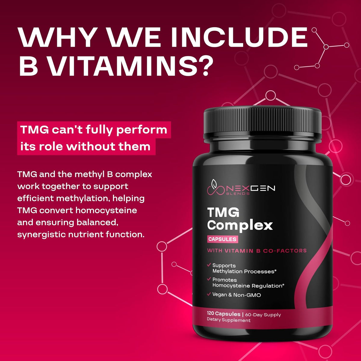 TMG Trimethylglycine Supplement with Methyl B Complex - 500mg Betaine TMG Supplement with Methylated Vitamin B Co-Factors for Homocysteine, Heart & Liver Support - Vegan & Non-GMO (2 Month Supply) - görsel 5