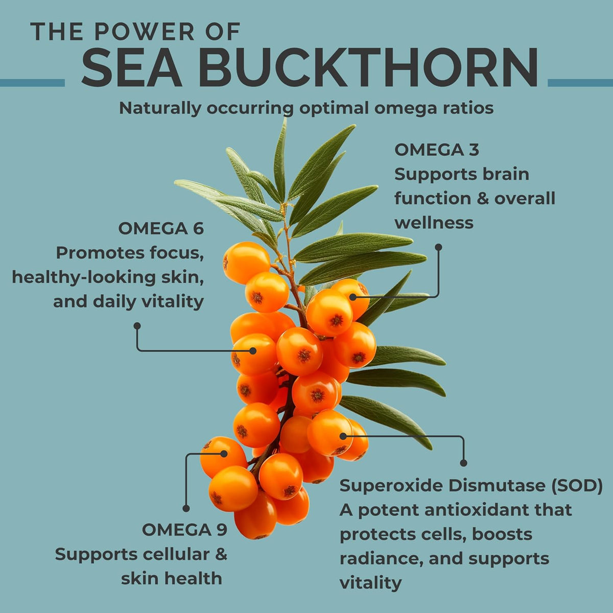 Organic Sea Buckthorn Seed Oil Soft gel capsules – Omega-3, 6 & 9 for Hair, Skin & Nail Health – 120 Soft gel capsules - görsel 3