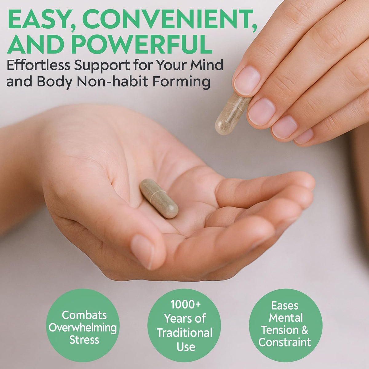 D'AO Labs Free & Easy Wanderer - Xiao Yao San Herbal Capsules (100 Count) - görsel 5