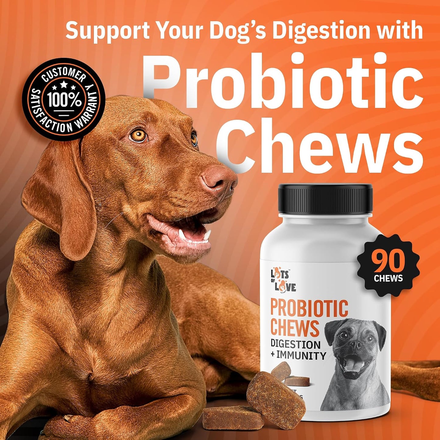 Dog Probiotic Chews (90 Count) - görsel 2