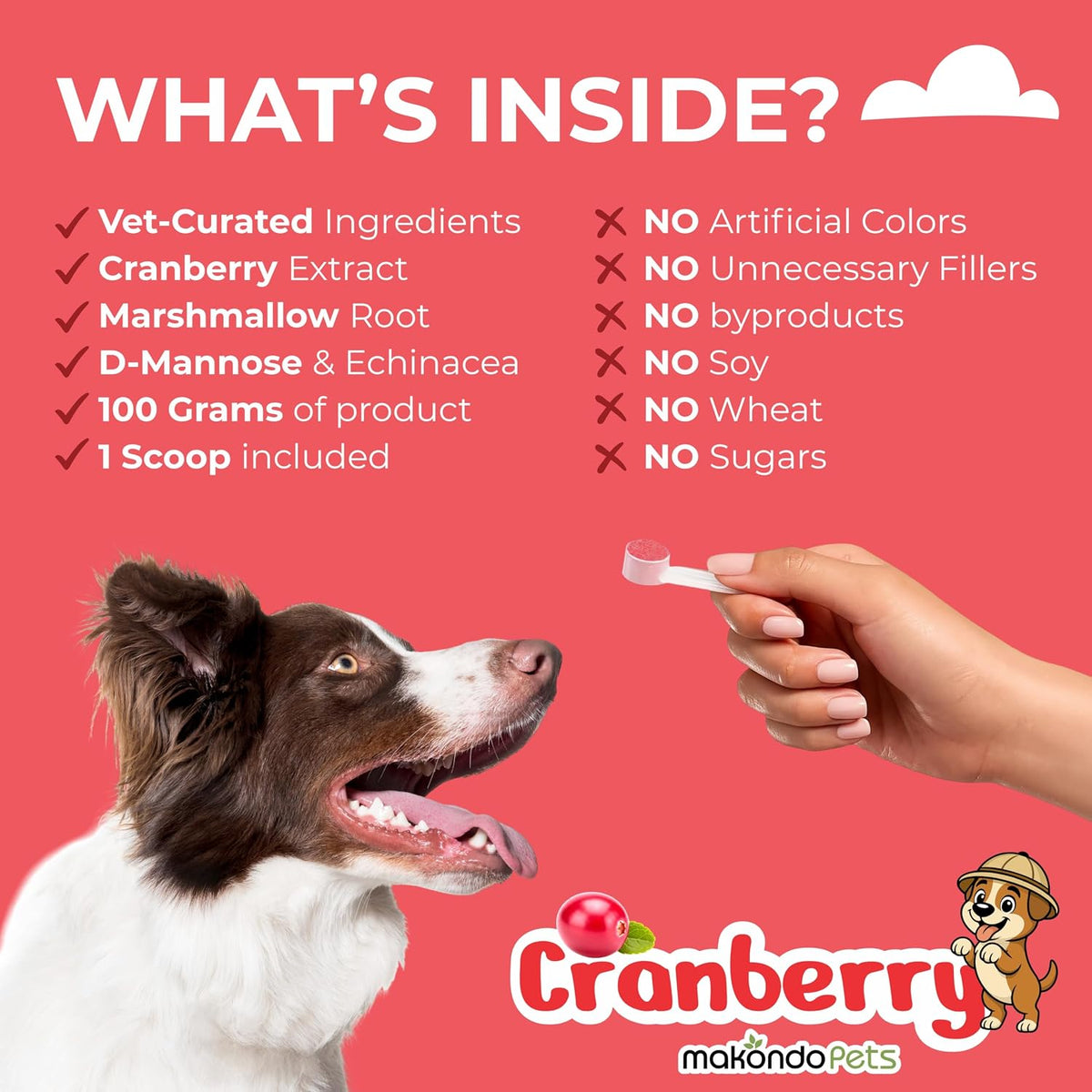 Cranberry Supplement for Dogs – Cranberry Powder with D-Mannose, Marshmallow Root & Vitamin C – 173 Scoops - görsel 4