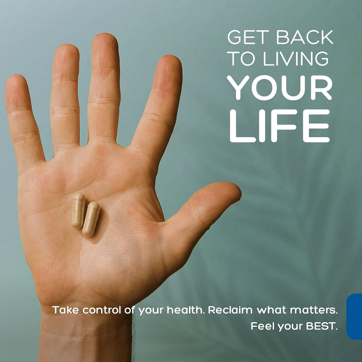 Palmara Health Premium Immune Support, 60 Capsules - görsel 5