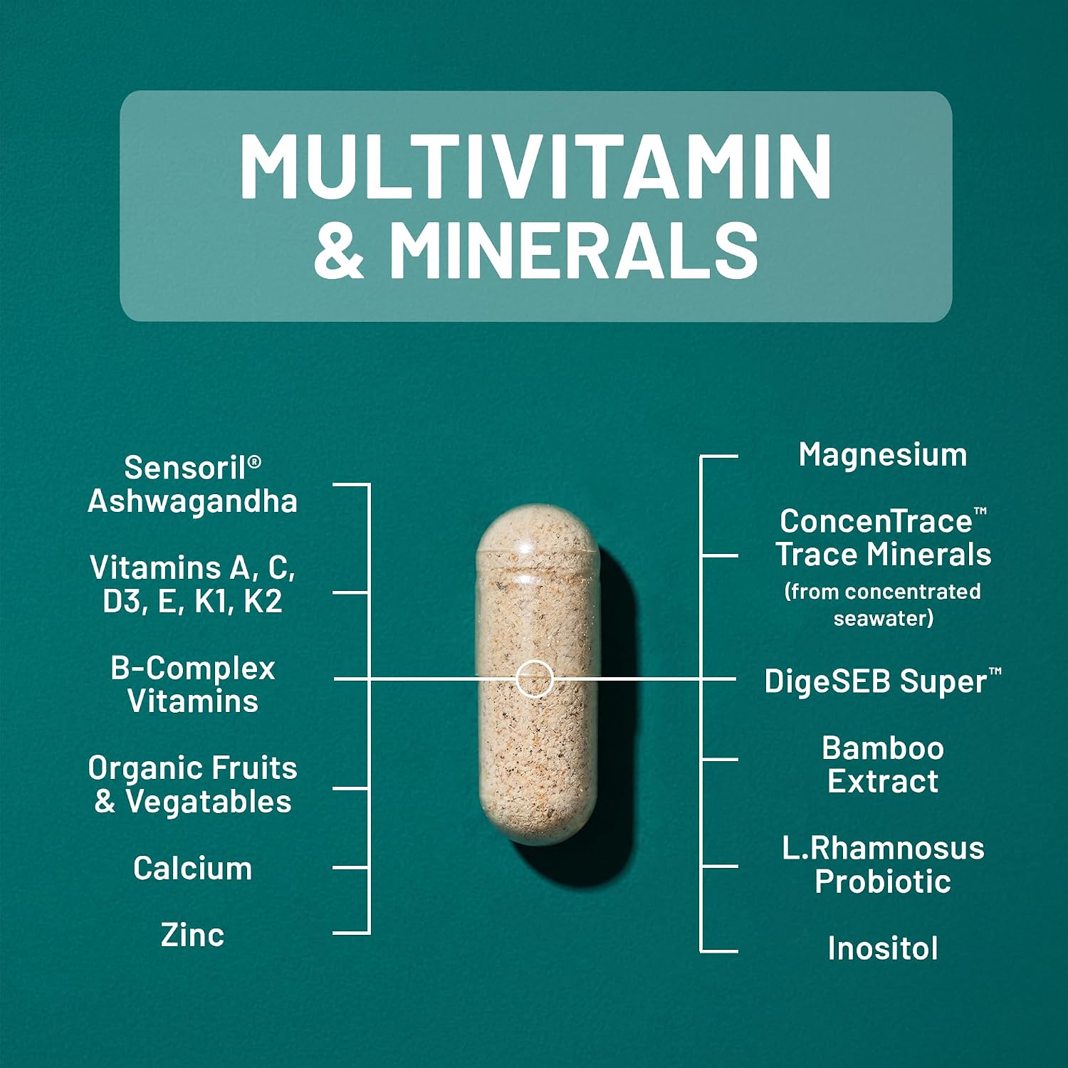 NatureWise Multivitamin for Men + Stress Support + Fulvic Ionic Minerals + Probiotics for Immunity, Male Health, Digestion + Whole Organic Foods - Vegetarian, Non-GMO - 60 Capsules - görsel 3