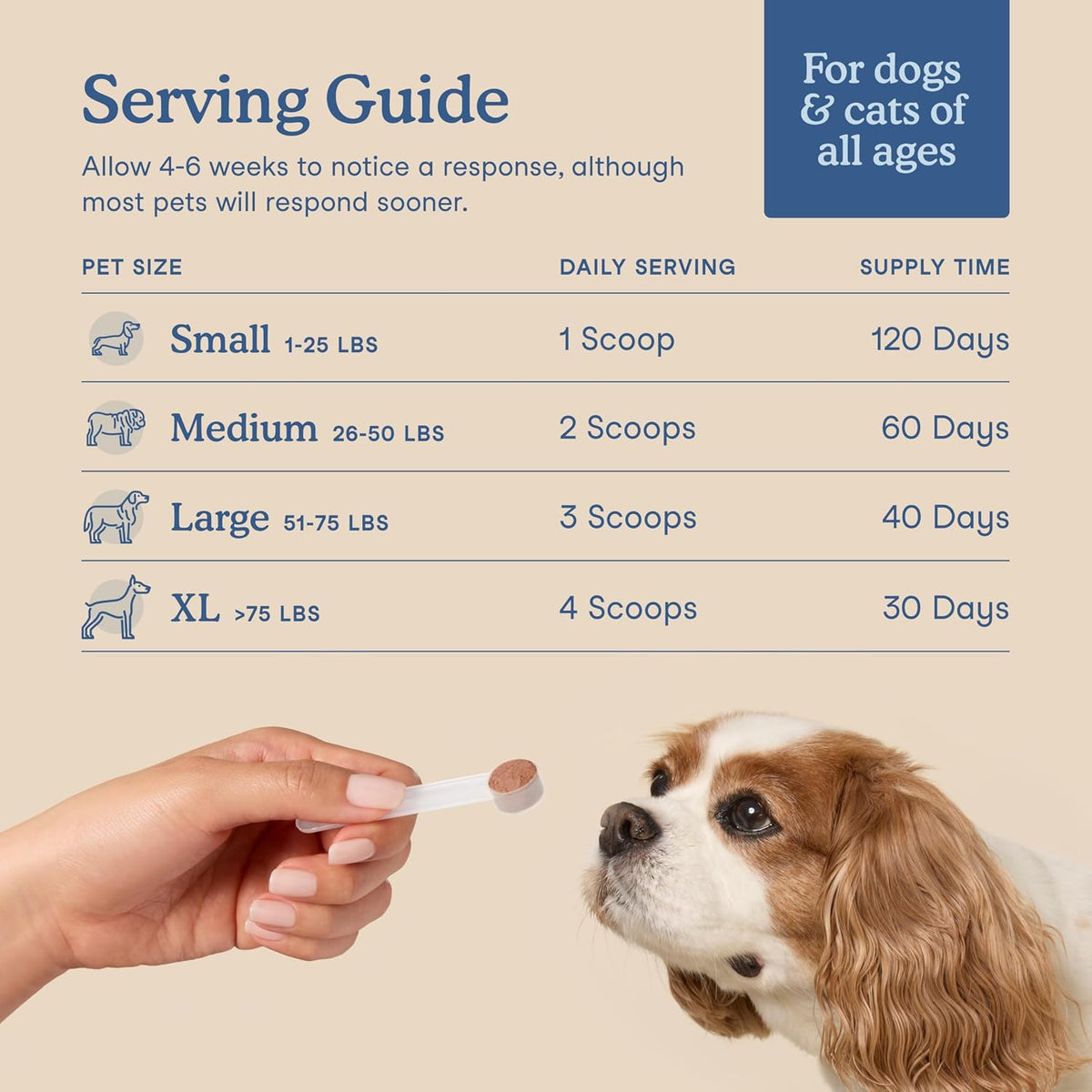 Fera Pets Postbiotics Plus Prebiotics for Dogs & Cats - 120 Scoops - görsel 4