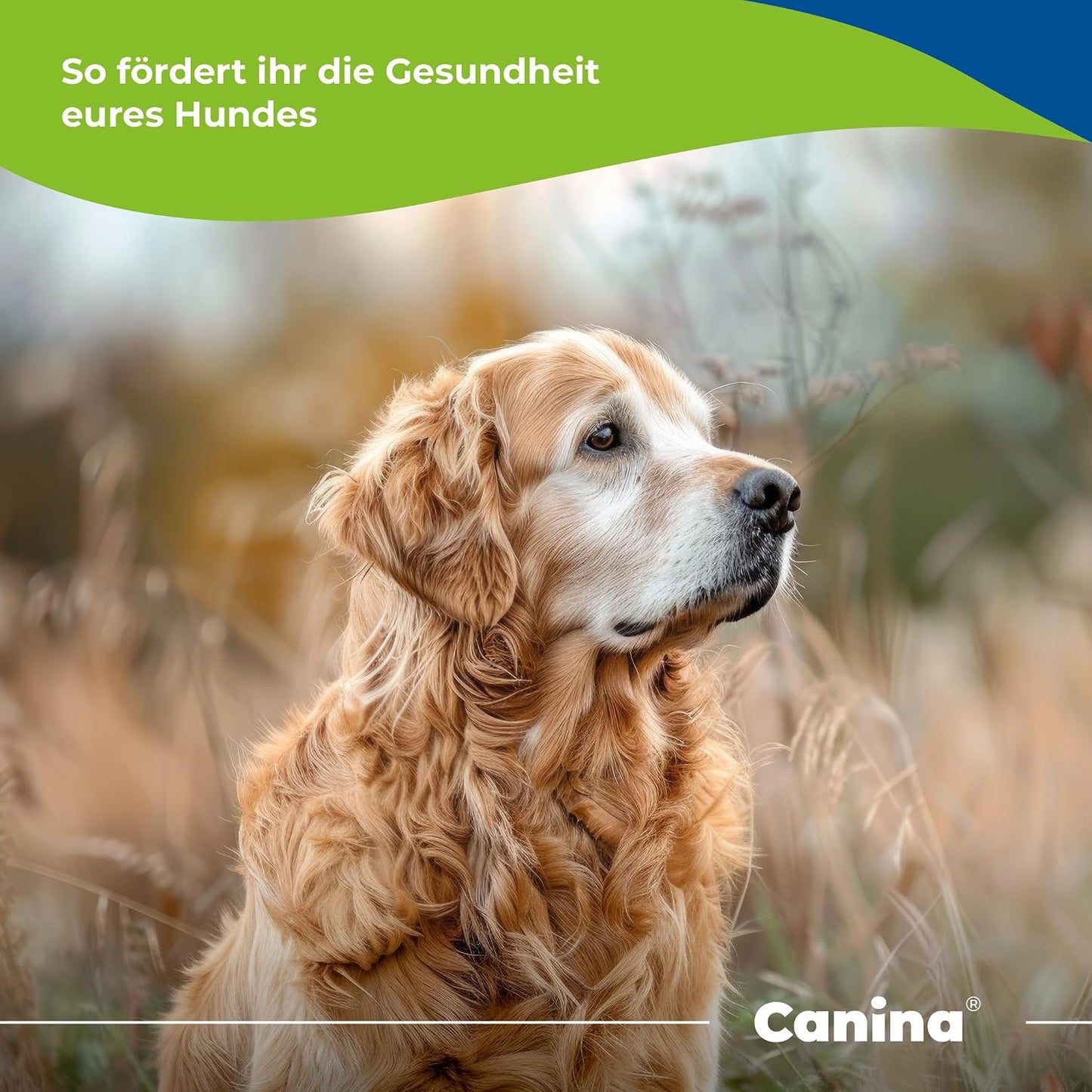 Canina V25 Vitamin Tablets 200g - görsel 3