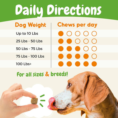 Probiotics for Dogs, Digestive Enzymes & Prebiotic Formula for Gut Health, Dog Probiotics for Diarrhoea, Bowel & Immune Support, Chicken Flavour, 120 Soft Chews