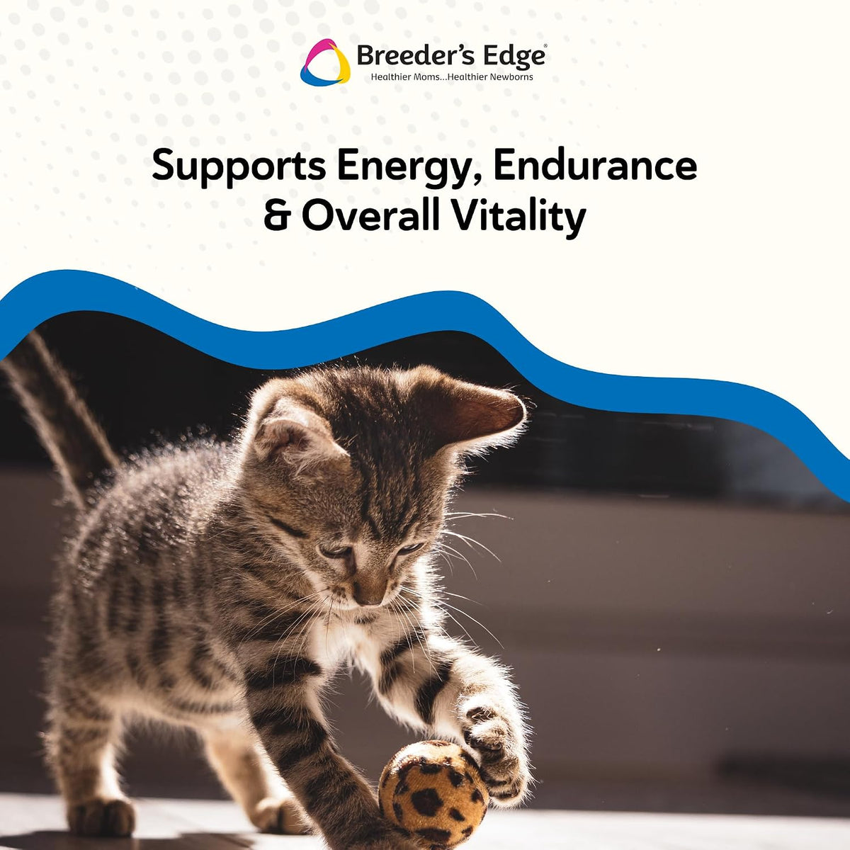 Breeder’s Edge Oxy Stud Male Supplement for Dogs & Cats – 60 Soft Chews - görsel 5