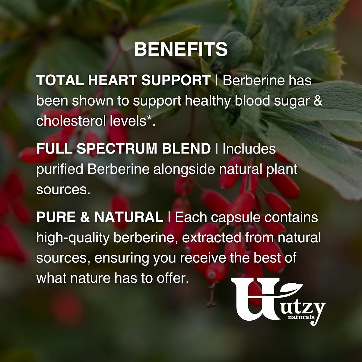 TriBerine – 1000 mg Triple-Source Full Spectrum Berberine Blend, 60 Vegetarian Capsules - görsel 4