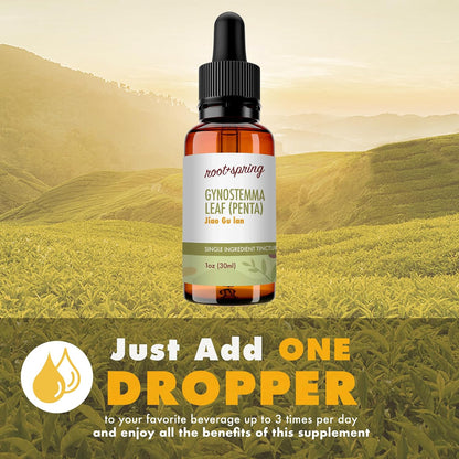 Gynostemma Leaf Tincture - Organic Jiao Gu Lan Liquid Extract by root + spring