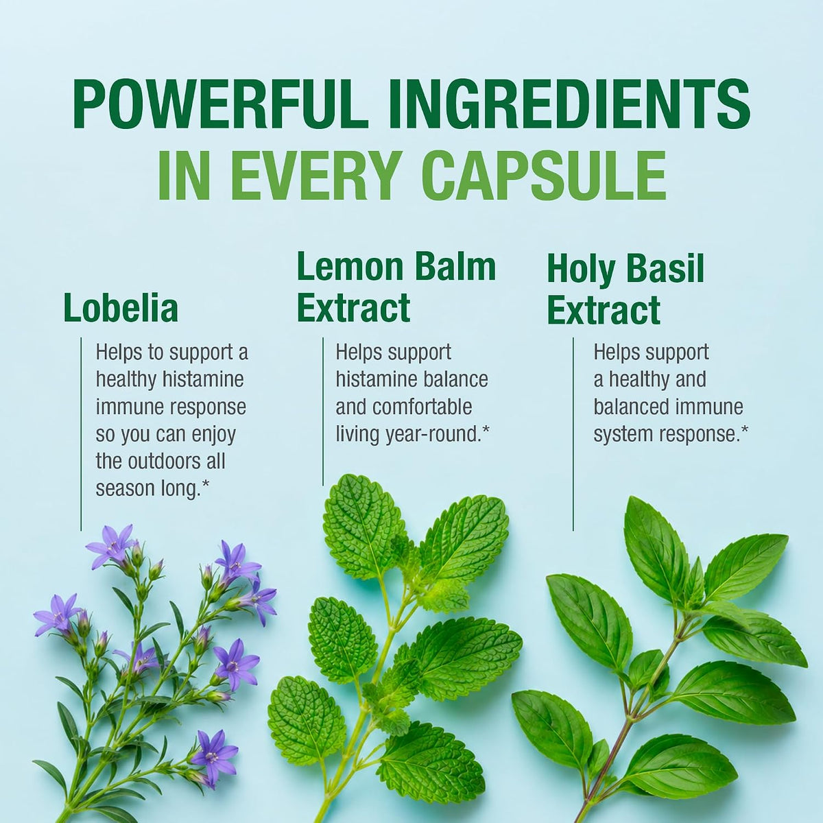 Bell Histamine Balance - Natural Supplement, Optimising Immune Response & Maintaining Healthy Respiratory Comfort - Unique Blend, 30 Vegetarian Capsules - görsel 4