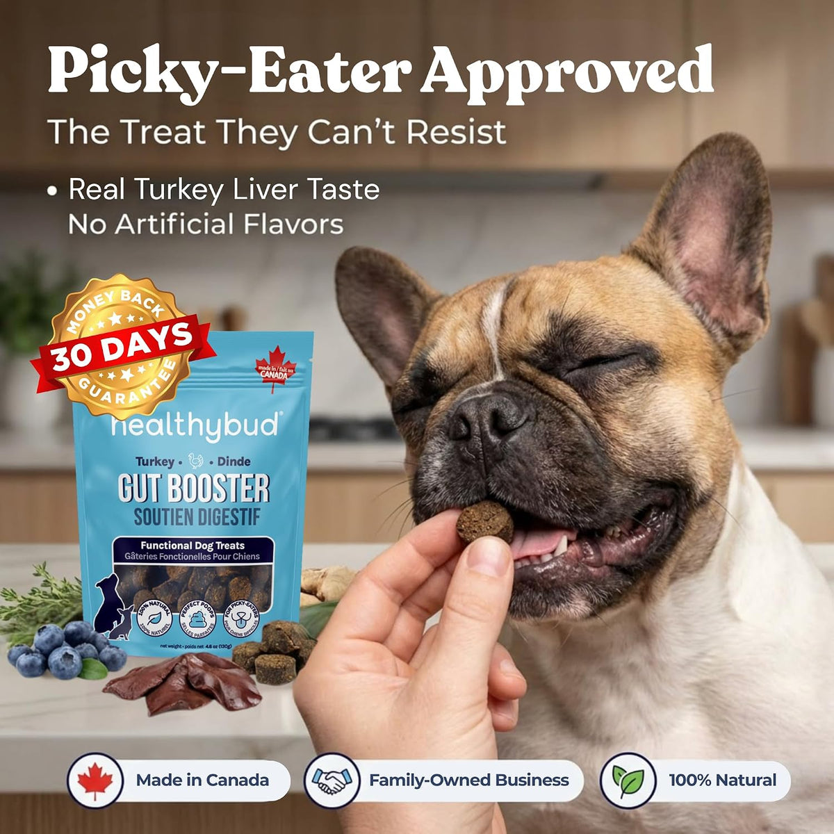 Healthybud Dog Probiotic Chews – Digestive & Gut Health Support - görsel 5