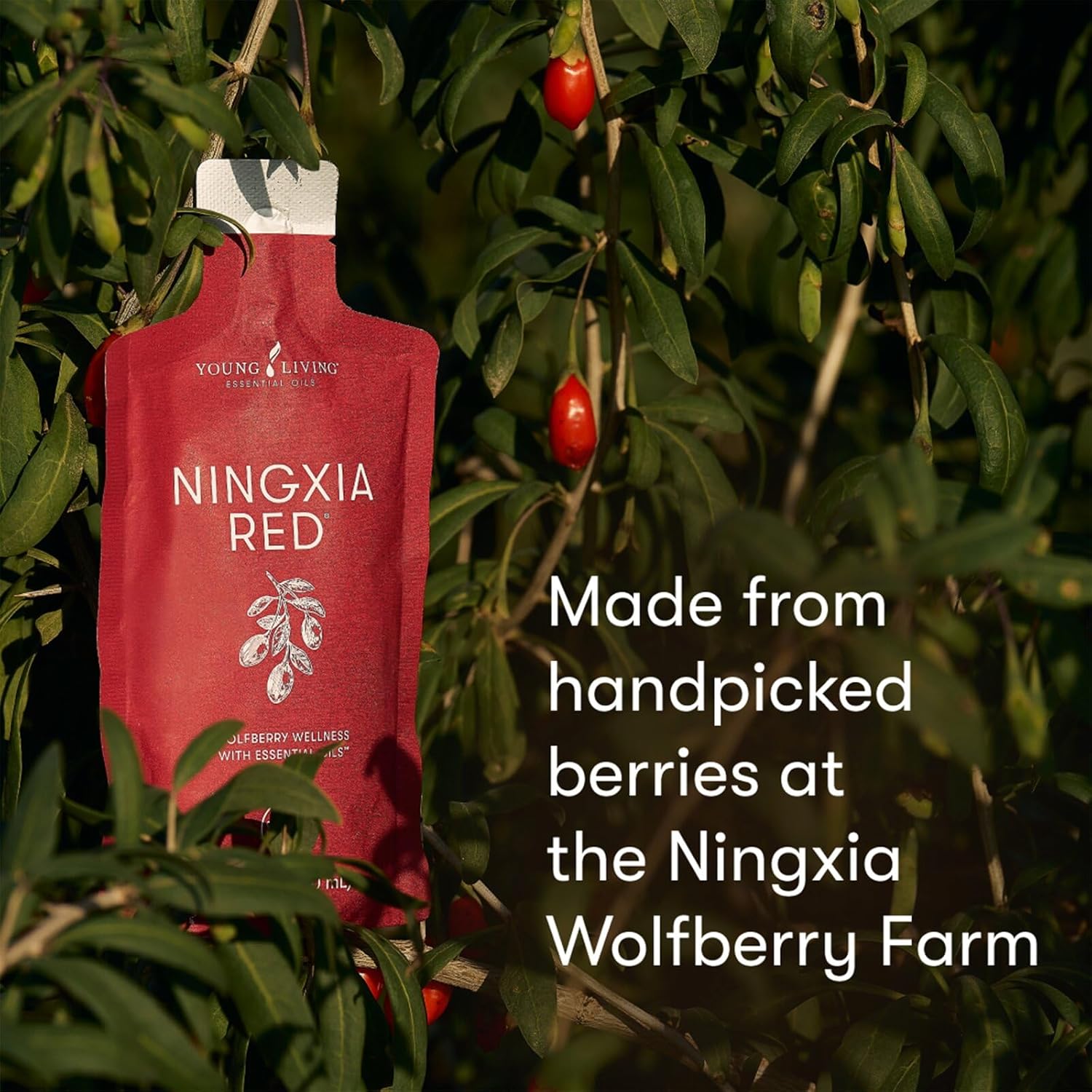 NingXia Red Singles 60ml – 30 Pack by Young Living Essential Oils - görsel 6