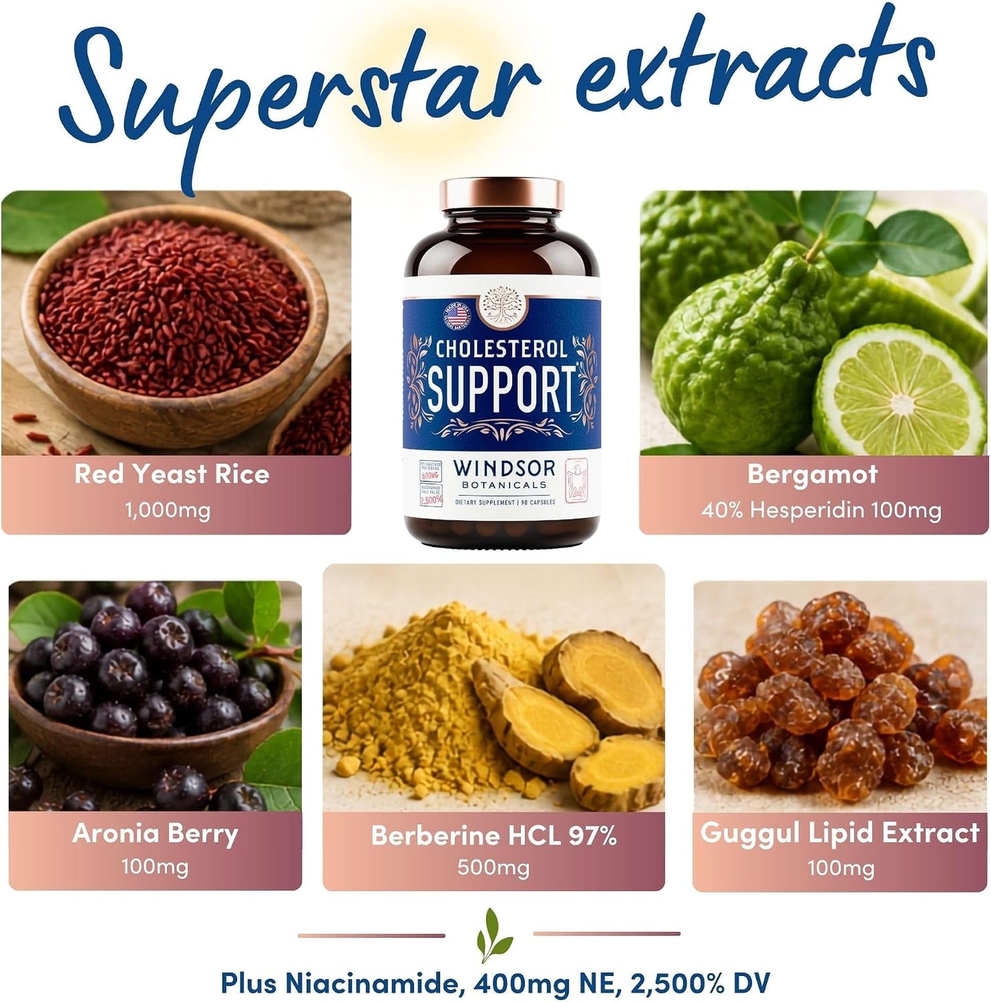 Windsor Botanicals Cholesterol Support Complex - Citrus Bergamot, Red Yeast Rice, Berberine, Niacin - 90 Vegan Capsules - görsel 5