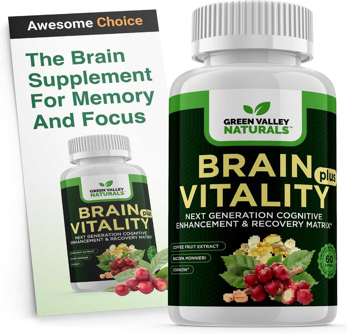 GREEN VALLEY NATURALS Brain Vitality Plus – Brain Health & Cognitive Support with Cognizin Citicoline, Bacopa Monnieri & DHA Omega-3 (60 Soft gel capsules) - görsel 1