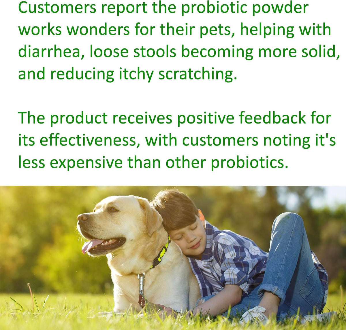 TummyWorks Probiotics for Dogs and Cats. 160 Scoops Probiotic Powder for Digestive Health, Gut, Immunity, Energy, Skin & Coat. 10 Strains, 5 Billion CFUs with 6 Enzymes & Prebiotics. Made in USA. - görsel 8