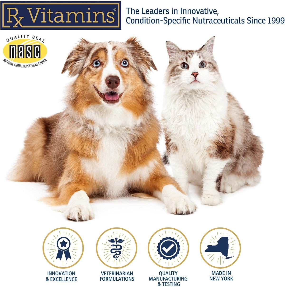 Rx Vitamins Canine Minerals - Essential Mineral Supplement for Dogs (454g) - görsel 7