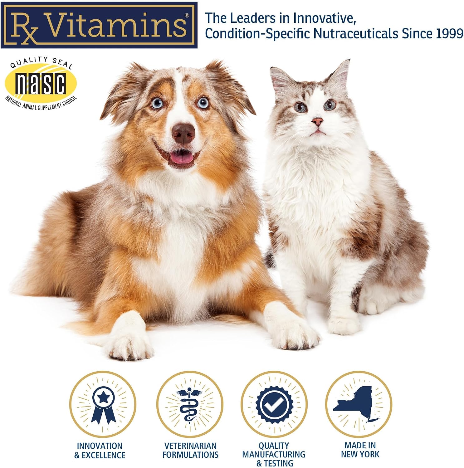 Rx Vitamins Canine Minerals - Essential Mineral Supplement for Dogs (454g) - görsel 7