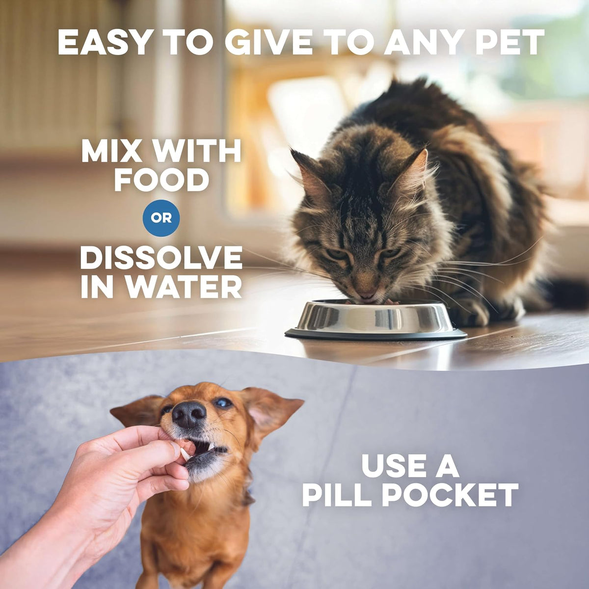 BestLife4Pets Dog Liver Supplement – Milk Thistle for Dogs – 400 Mini Tablets - görsel 6