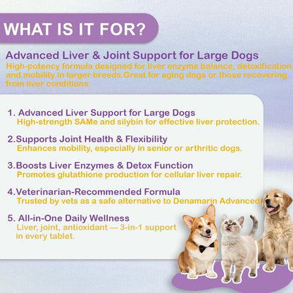 NUTRIARISE SAMe for Dogs – Liver Support with Milk Thistle for Large Breeds