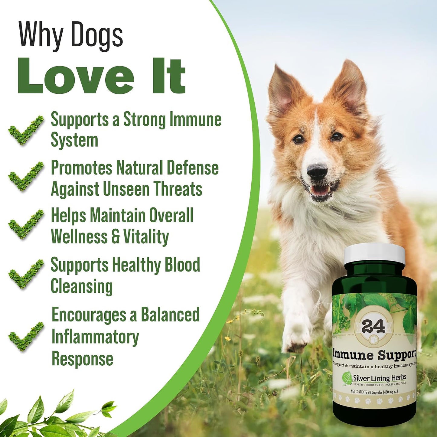 Silver Lining Herbs Dog Immune Support Supplement – Natural Herbal Dog Vitamins, 90 Capsules - görsel 2