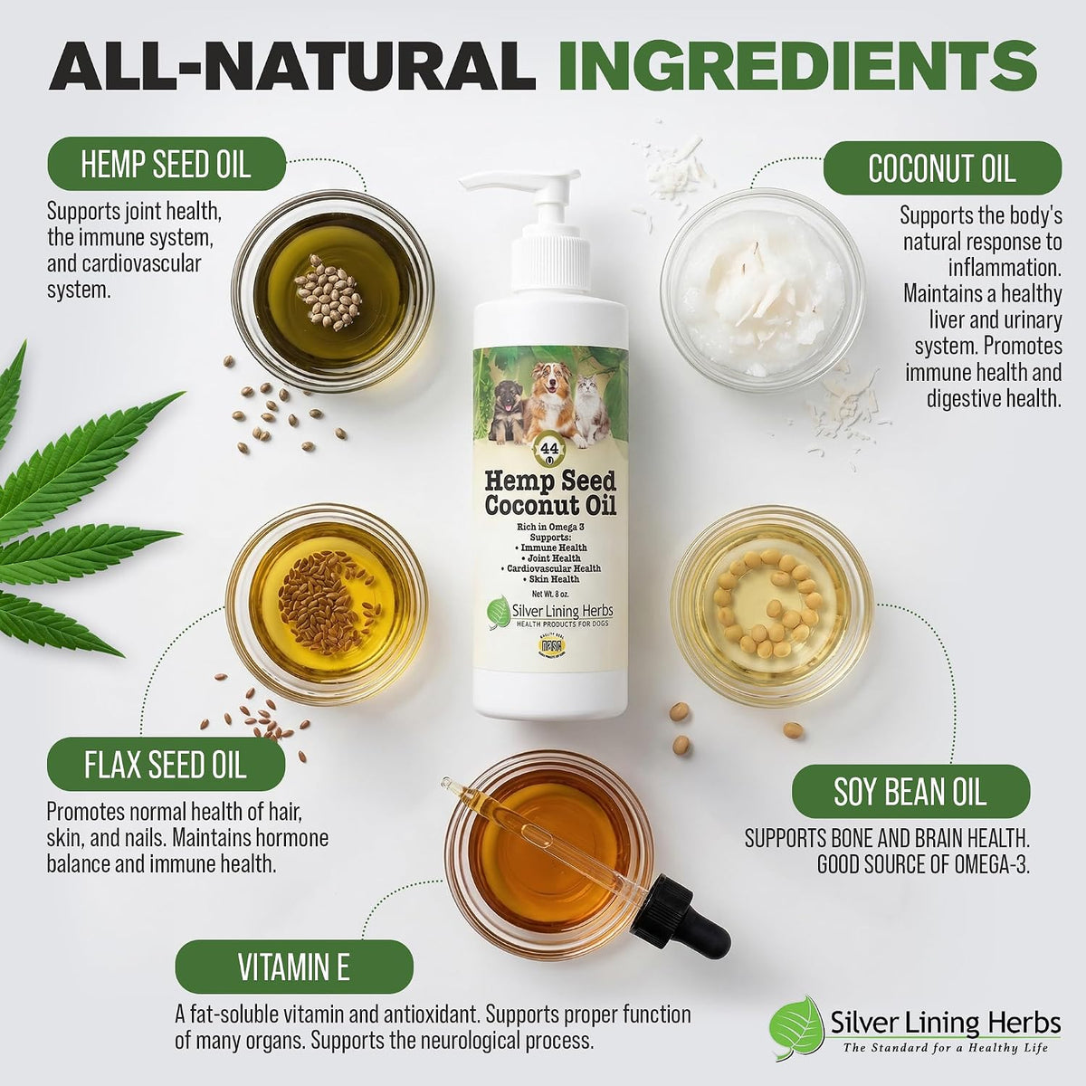 Silver Lining Herbs Pet Hemp Oil for Dogs & Cats – Itch & Hot Spot Relief, Skin & Coat, Joint, Immune & Heart Support with Organic Coconut Oil & Vitamin E – 240ml - görsel 2