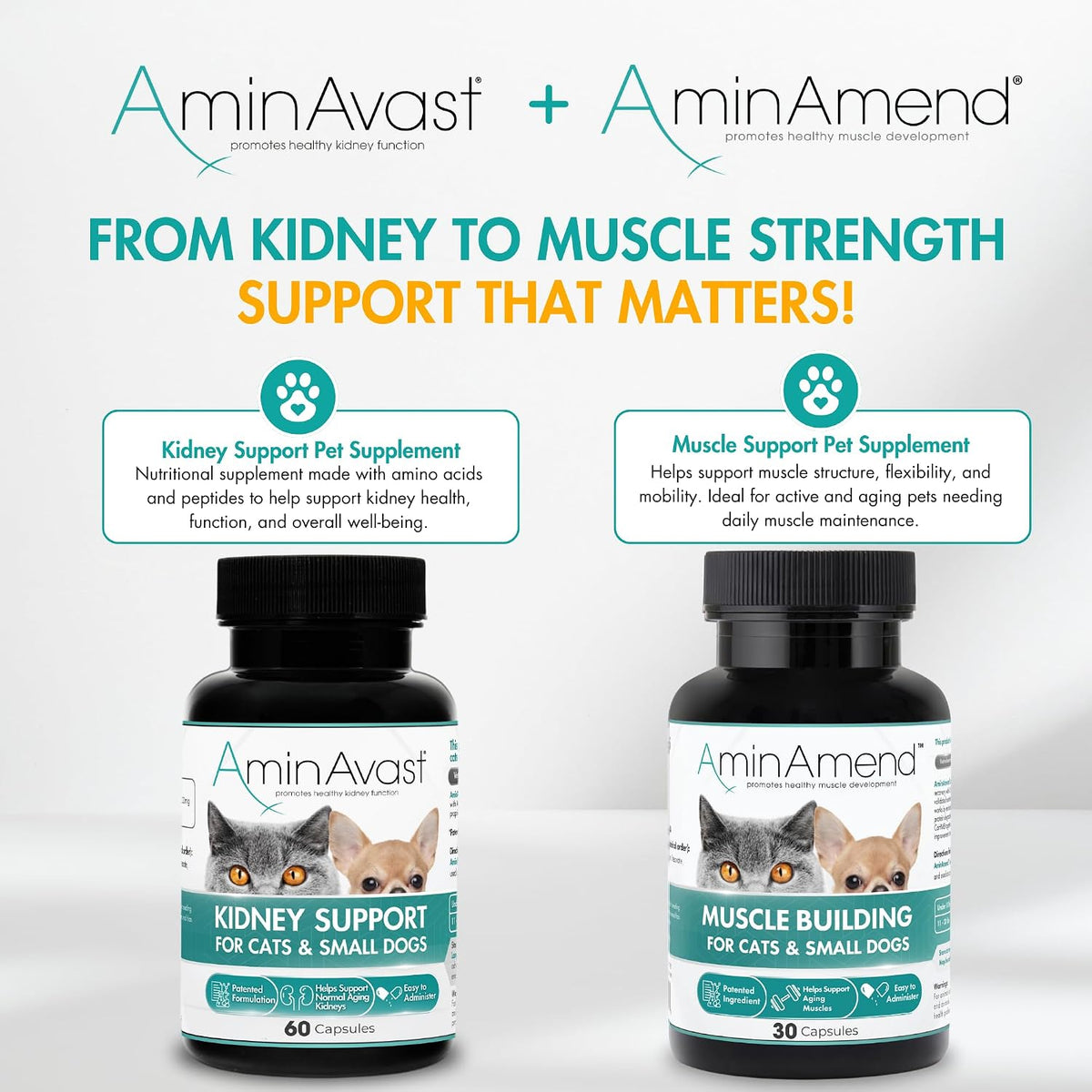 AminAmend Muscle Support for Small Dogs and Cats with CaHMB and Vitamin D3 – 30 Capsules - görsel 8