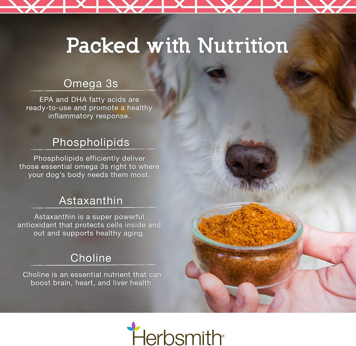 Herbsmith Pure Krill - Wild-Caught Antarctic Krill - Single Ingredient - Astaxanthin for Dogs - Ready-to-Uses Omega 3s - 150g - görsel 4
