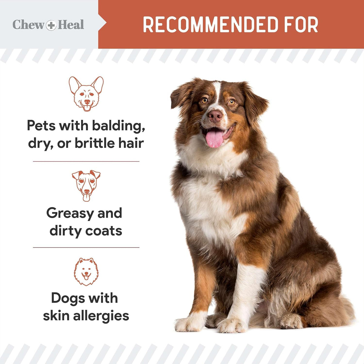 Fish Oil Omega-3 Supplements for Dogs - 360 Soft Chew Treats for Skin and Coat - Salmon Oil Blend of Fatty Acids, Omega-3, 6, Vitamins, Antioxidants - Made in the USA (2 Packs of 180, Salmon Flavour) - görsel 4