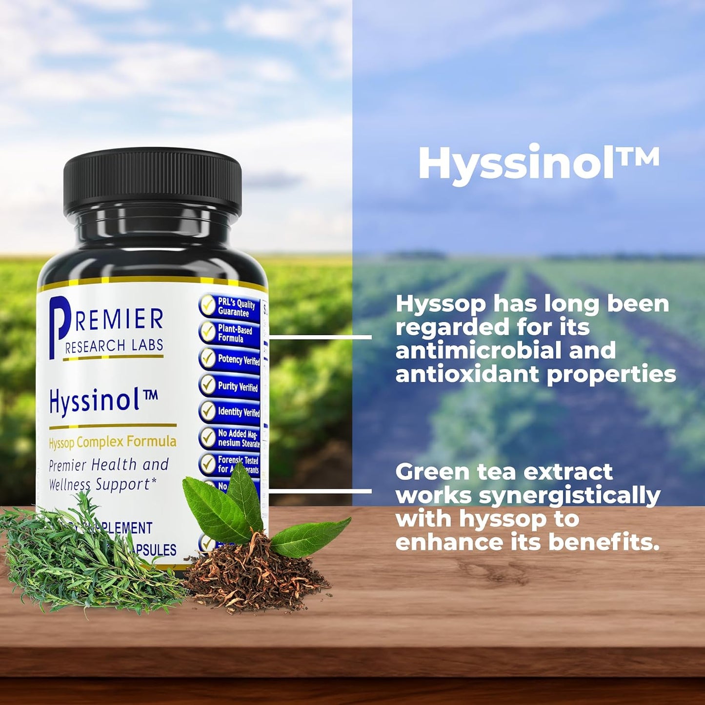Premier Research Labs Hyssinol - Organic Hyssop Herb with Green Tea Extract, 60 Vegetarian Capsules - görsel 2